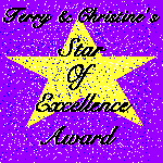 Star of Excellence Award